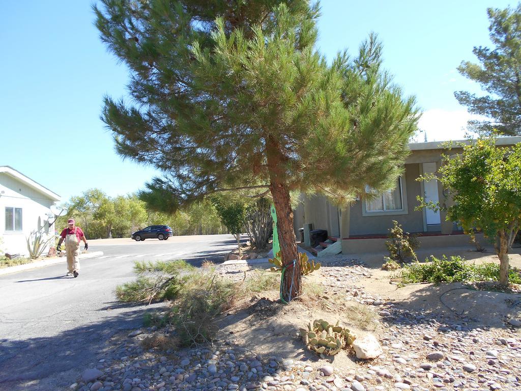 Atomic Inn Beatty Near Death Valley Bagian luar foto